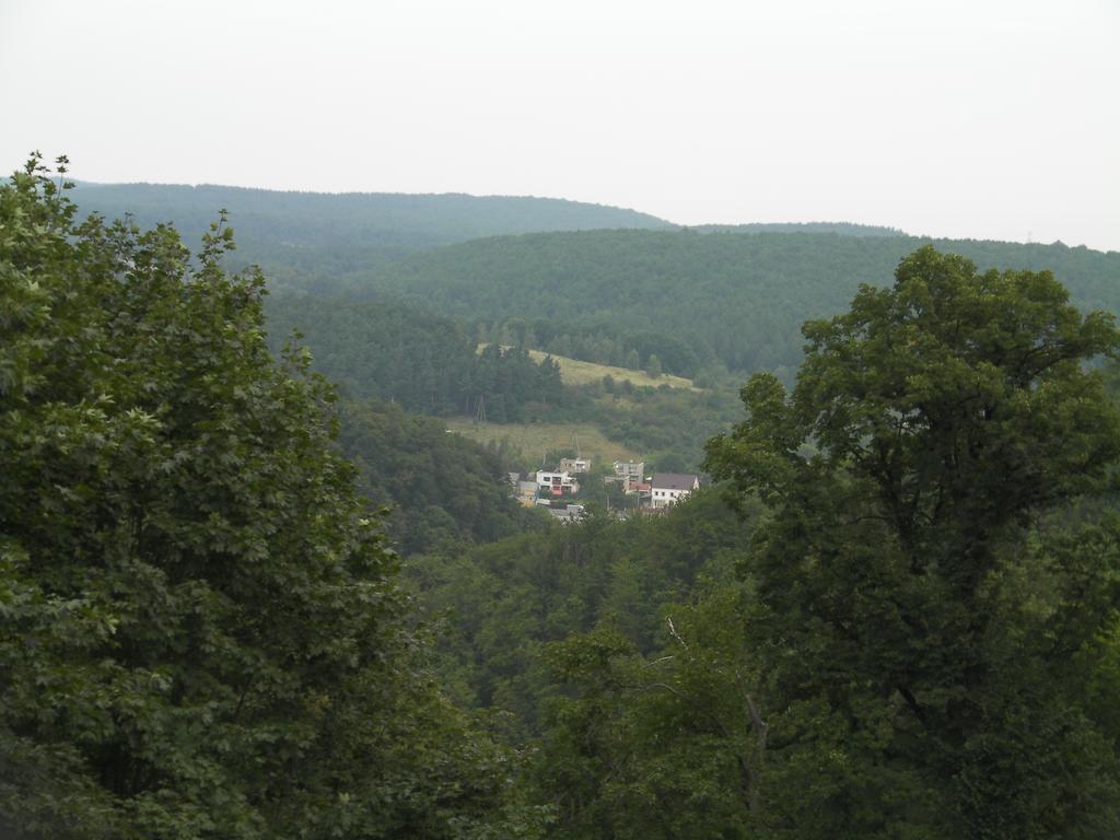 Guest House Wanda Wałbrzych Εξωτερικό φωτογραφία